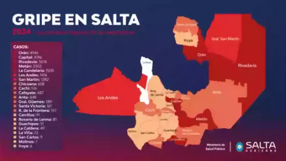 Hasta la fecha se notificaron más de 22 mil casos de gripe en Salta: Capital, Orán y Rivadavia las ciudades más complicadas