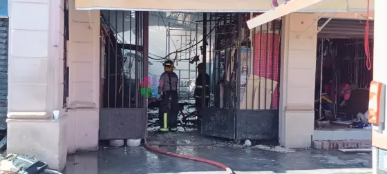 El Mercado San Miguel "tenía seguro contra todo"