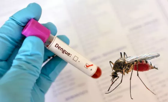 Confirmaron el primer caso de dengue de la temporada en la ciudad de Salta