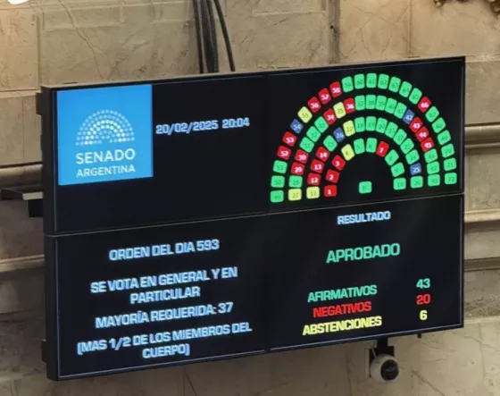 El Senado convirtió en ley la suspensión de las PASO